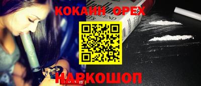 гашик Моздок
