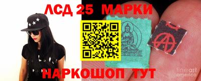 гашик Моздок