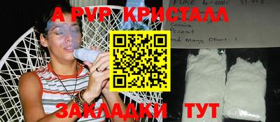 гашик Моздок