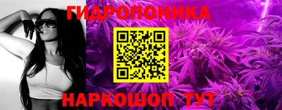 МДПВ Можга