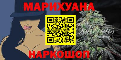 гашик Моздок
