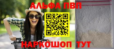 гашик Моздок