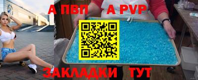 гашик Моздок