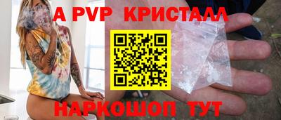 гашик Моздок