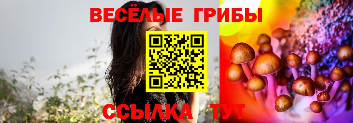 Шахты  Галлюциногенные грибы Psilocybine cubensis  Вход с VPN  Галлюциногенные грибы Psilocybine cubensis 